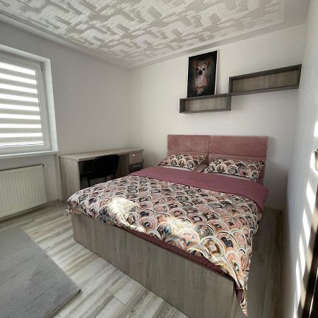 Tei Apartment - Lucian Blaga Satu Mare Bagian luar foto