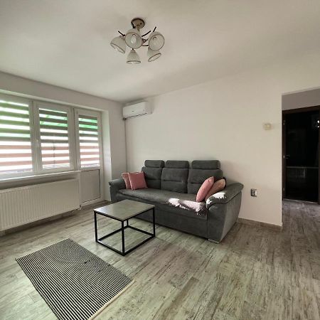Tei Apartment - Lucian Blaga Satu Mare Bagian luar foto