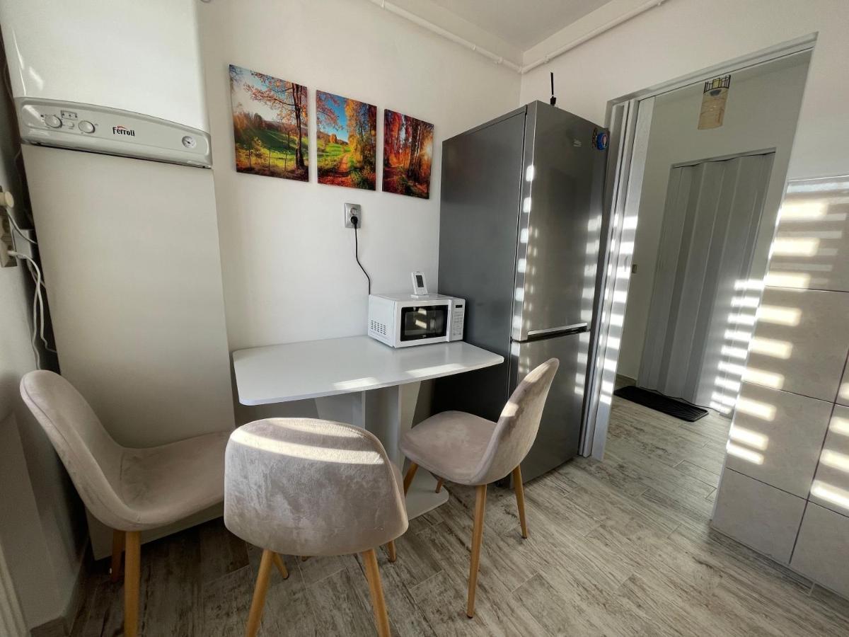 Tei Apartment - Lucian Blaga Satu Mare Bagian luar foto
