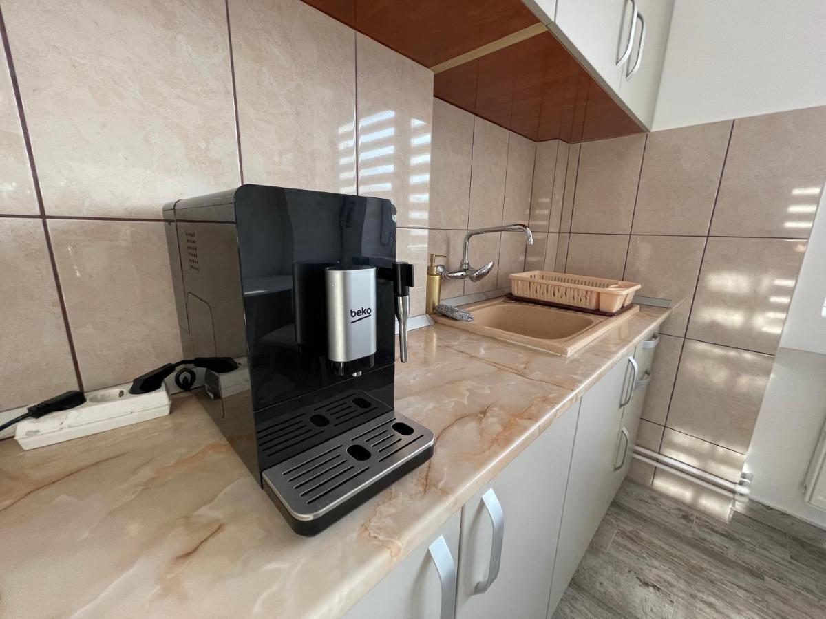 Tei Apartment - Lucian Blaga Satu Mare Bagian luar foto