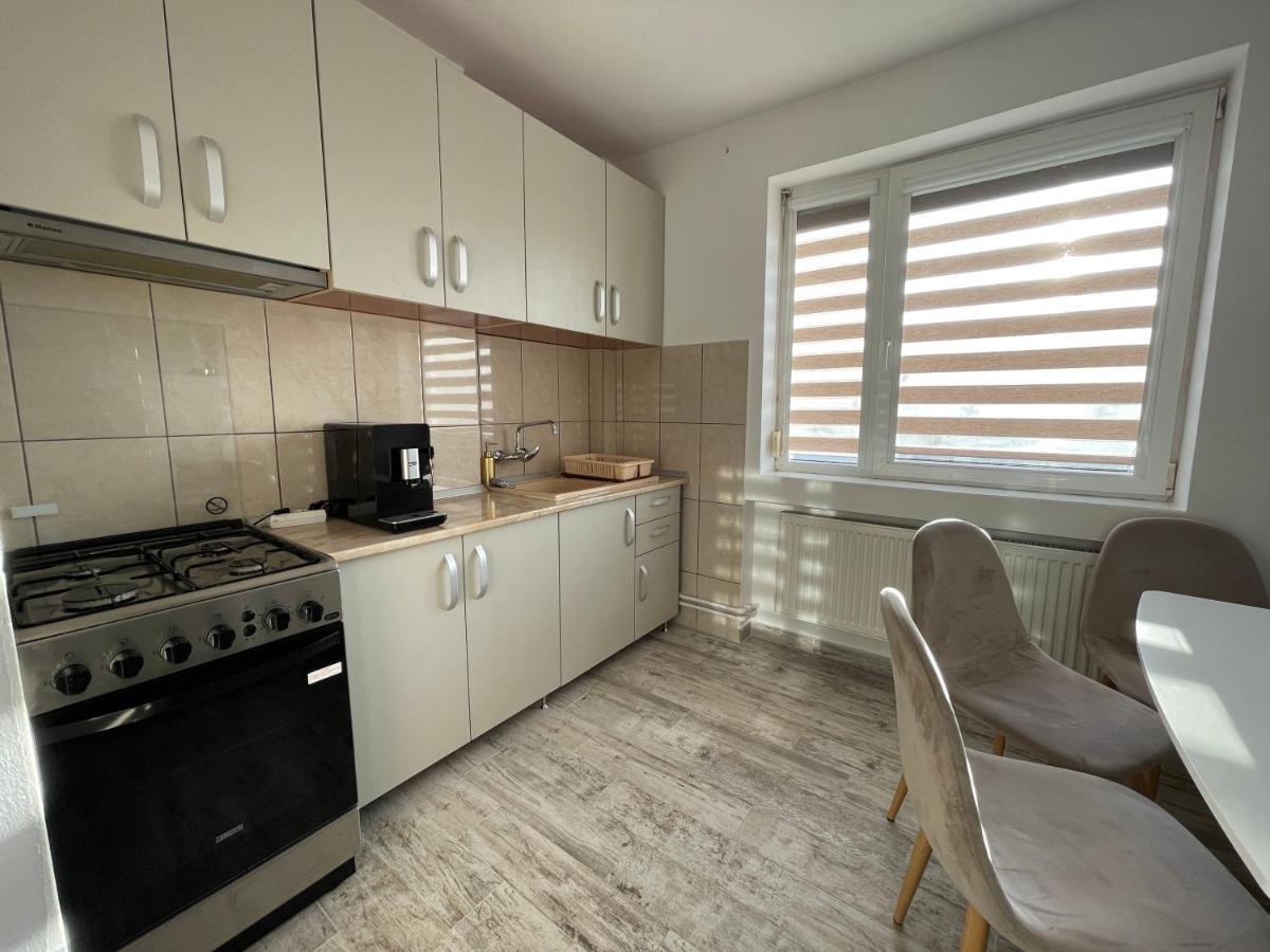 Tei Apartment - Lucian Blaga Satu Mare Bagian luar foto