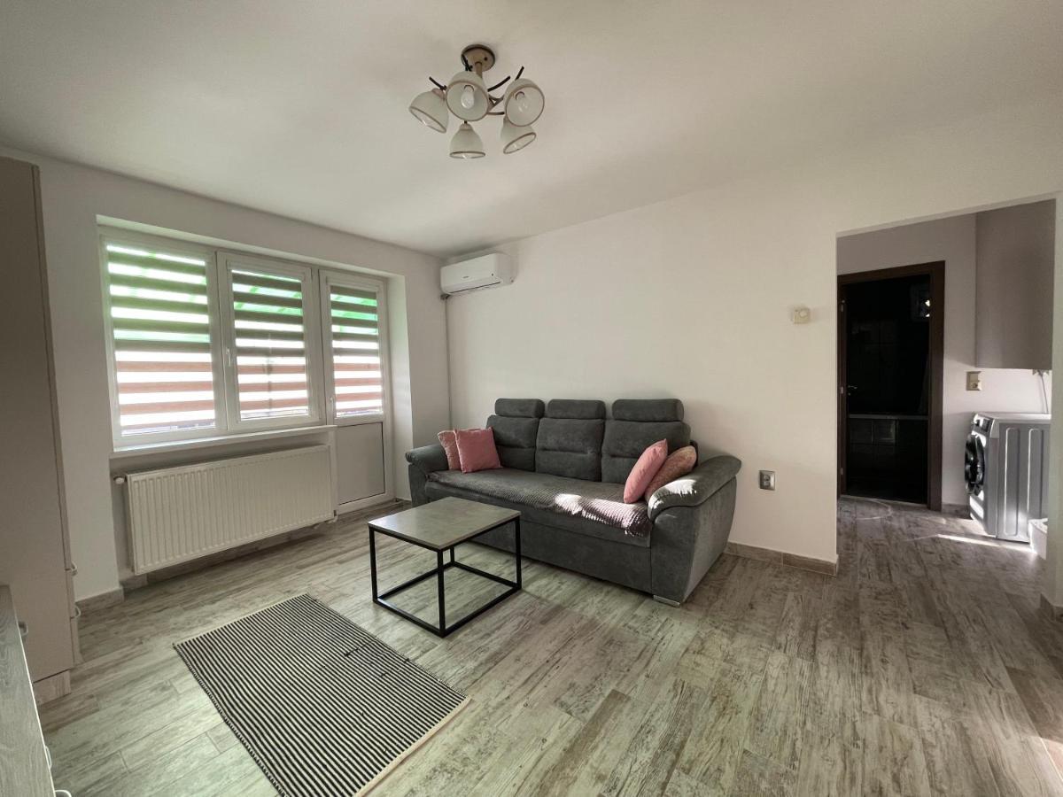 Tei Apartment - Lucian Blaga Satu Mare Bagian luar foto